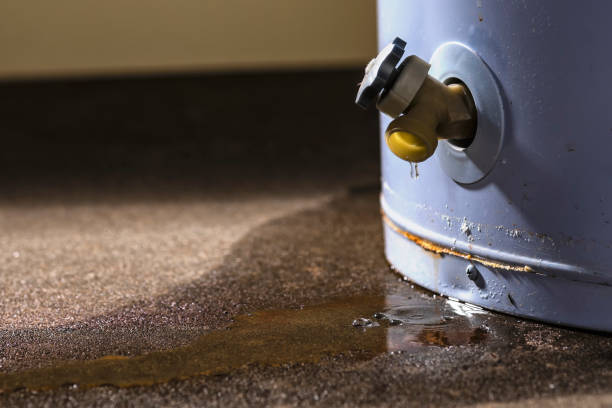 Water damage restoration insurance claims in Bel Nor, MO