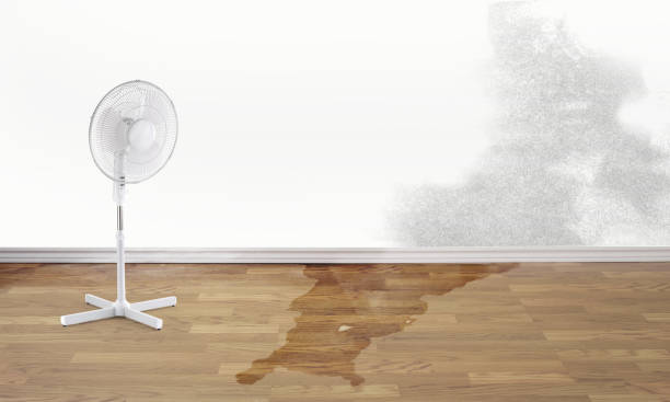 Best Basement water damage restoration  in Bel Nor, MO