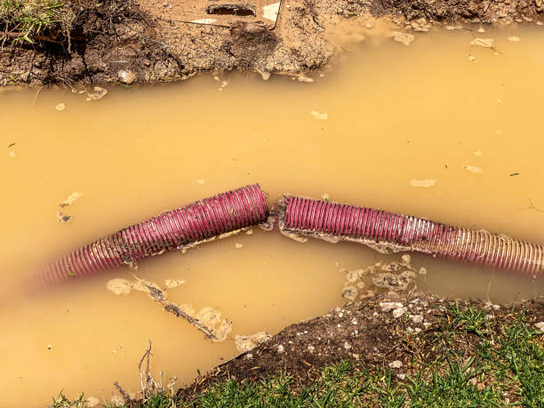 Best Mold removal after water damage  in Bel Nor, MO