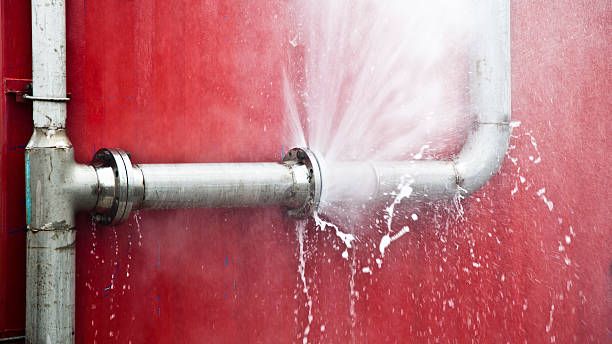Best Flood damage cleanup  in Bel Nor, MO