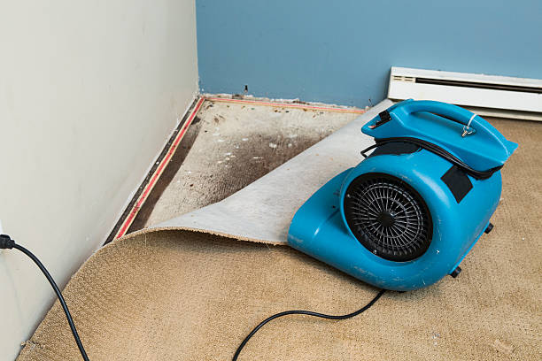 Best 24-hour water damage restoration  in Bel Nor, MO